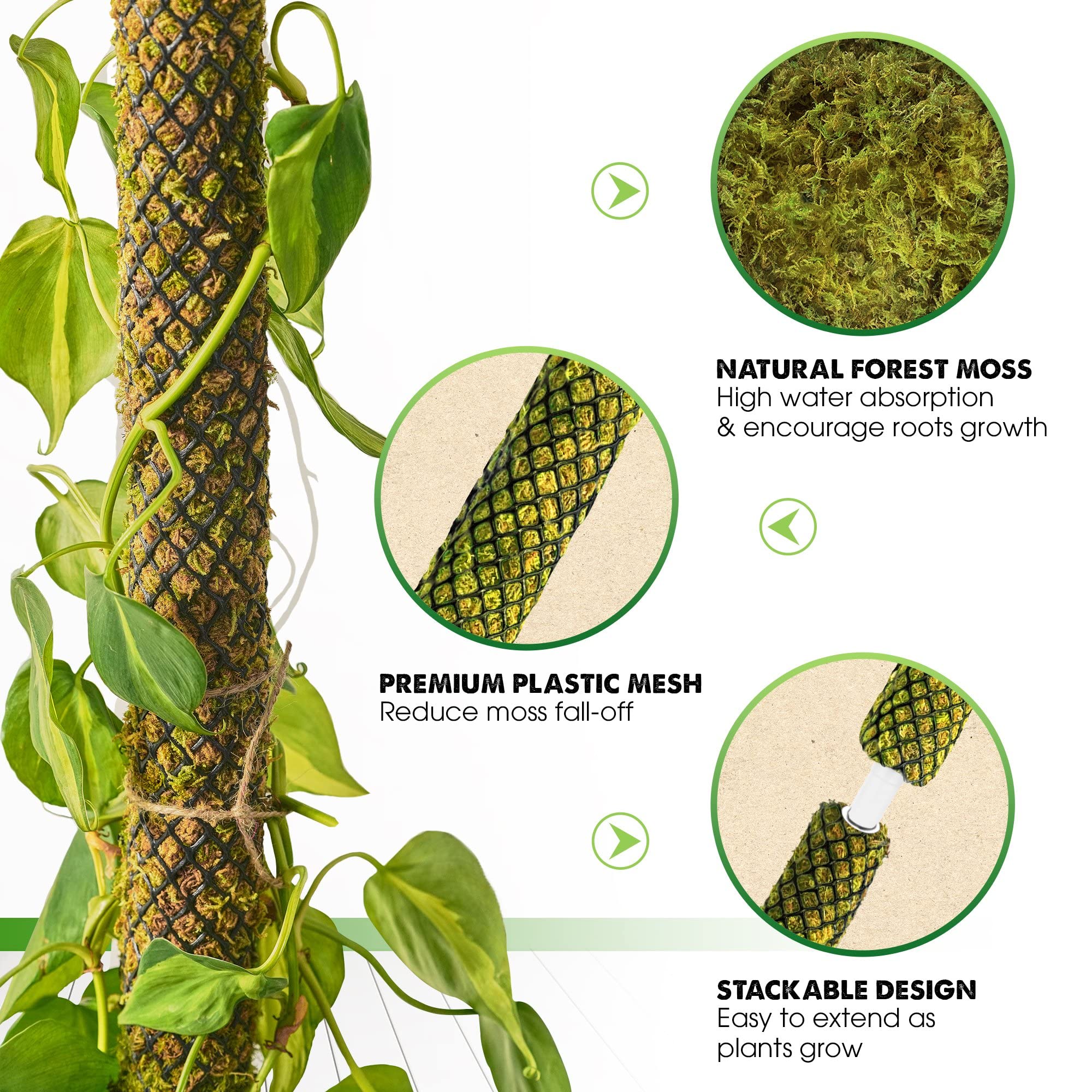 Duspro moss pole extension allows easy addition for taller vines