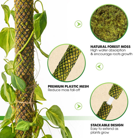 Duspro moss pole extension allows easy addition for taller vines
