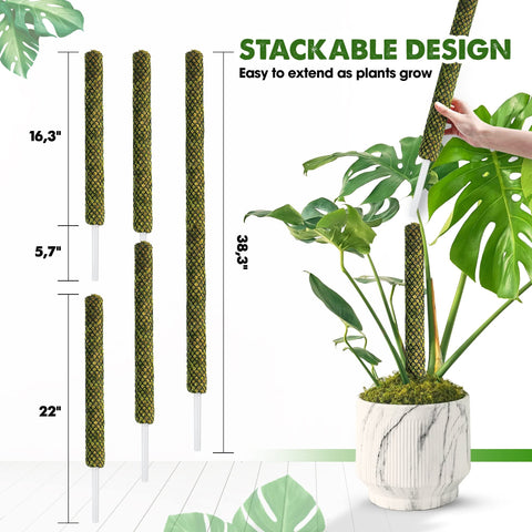 Duspro moss pole green forest moss closeup highlights natural moisture retention.