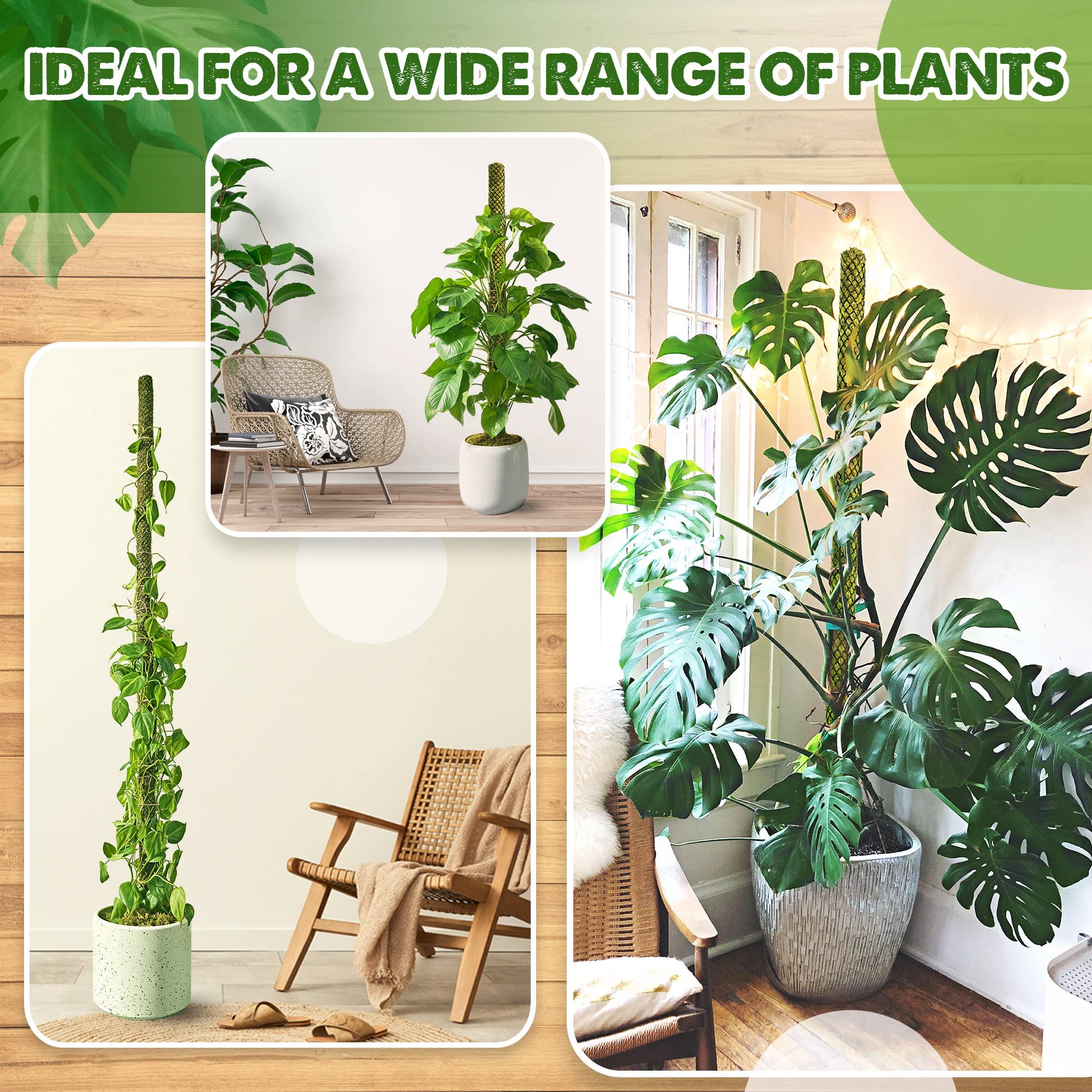 Duspro moss pole suitable for indoor and outdoor plant setups