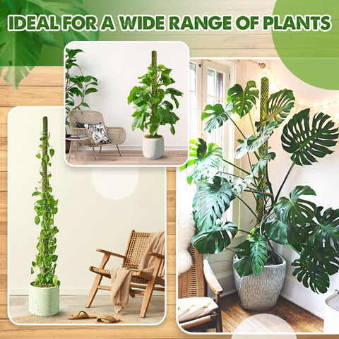 Duspro moss pole suitable for indoor and outdoor plant setups