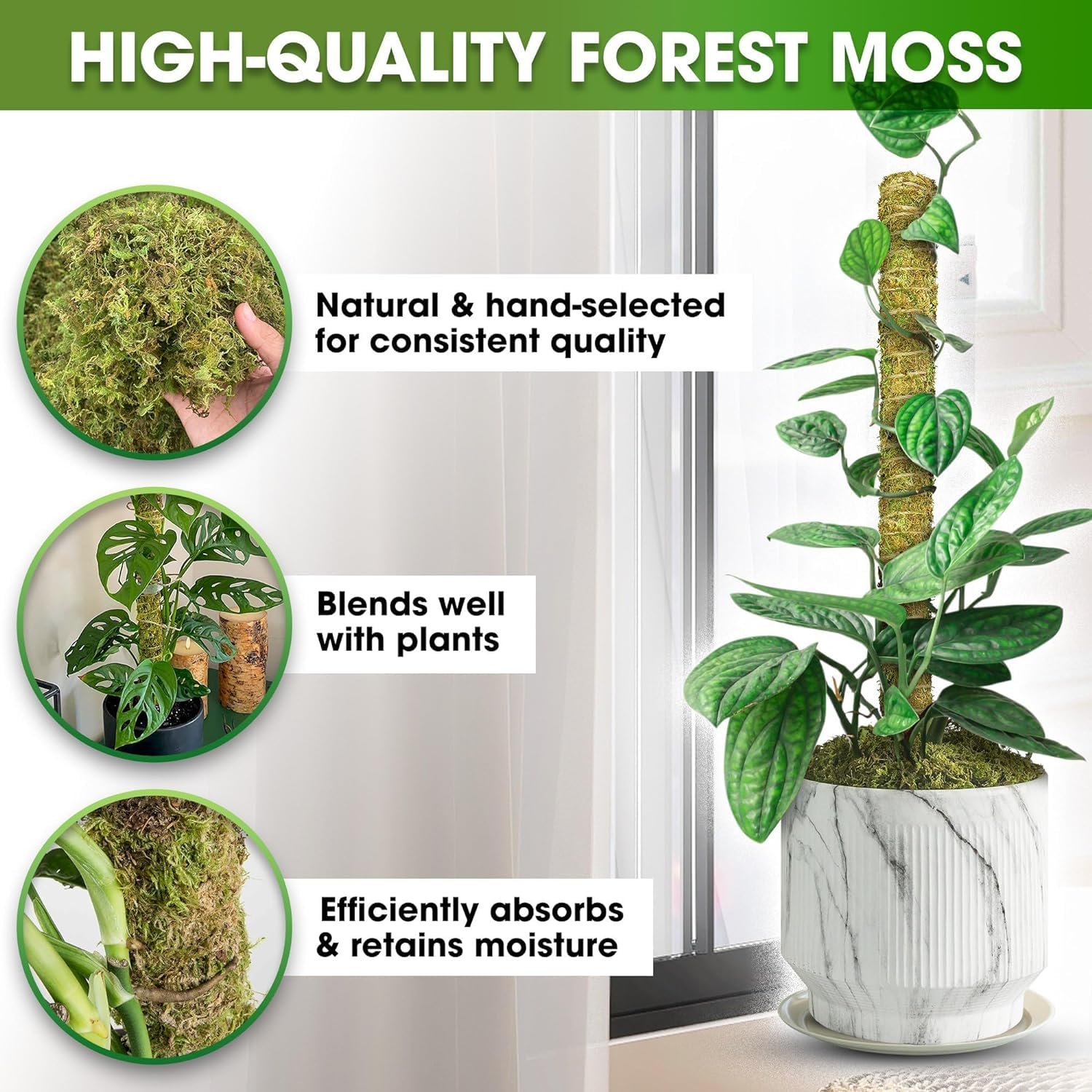 Duspro moss pole indoor plant stake supports climbing vines like pothos.