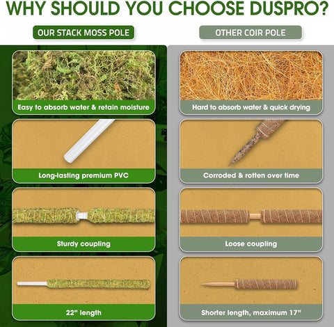 Duspro moisture-retaining moss pole helps keep the base hydrated for lush growth.