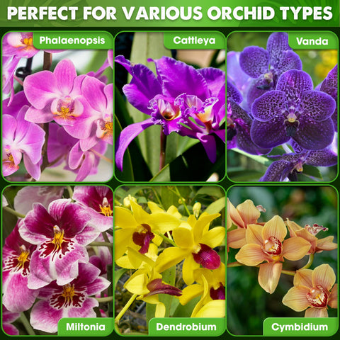 Duspro orchid mix maintains moisture balance with forest moss for orchids.