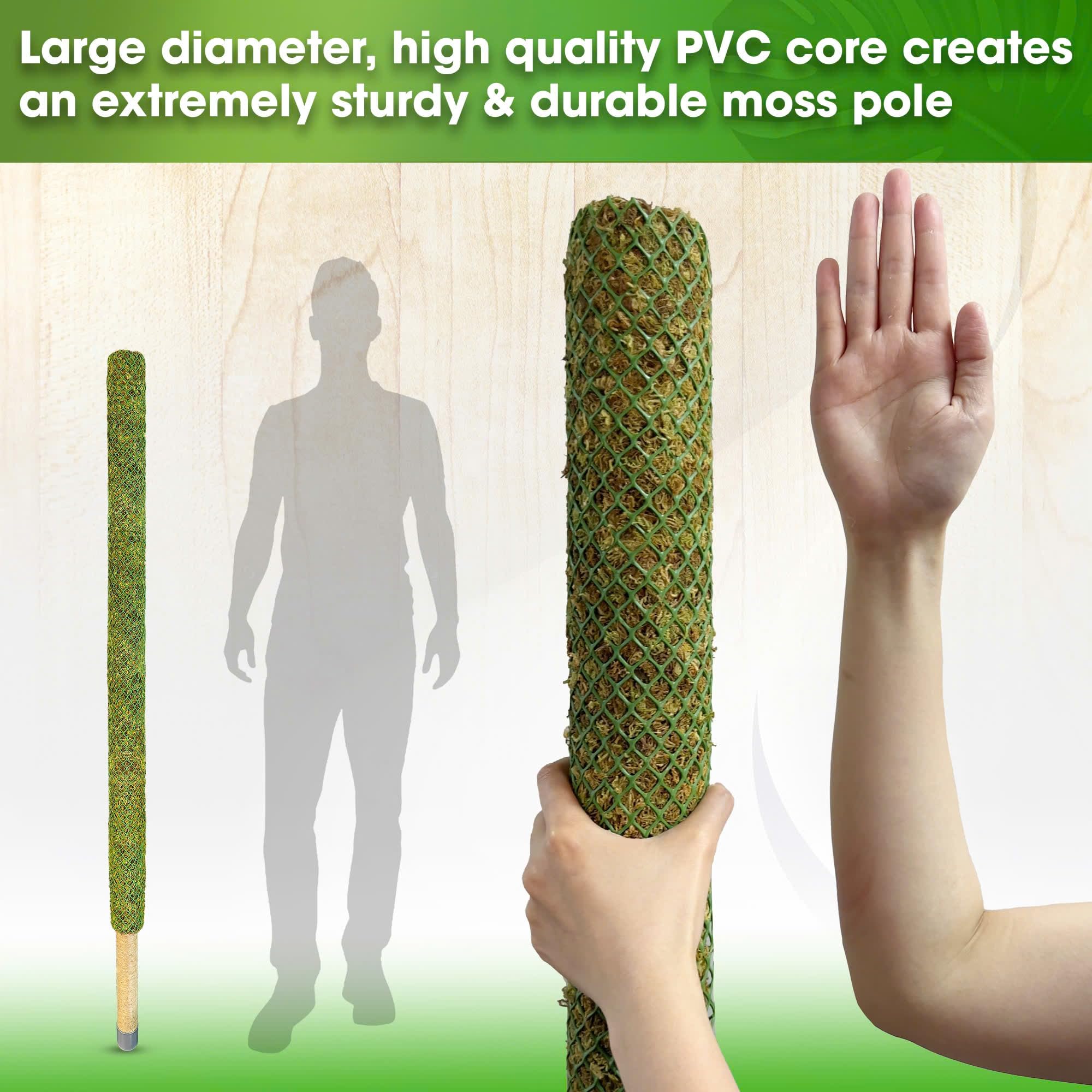 Oversized 59-inch moss pole designed for tall climbing plants