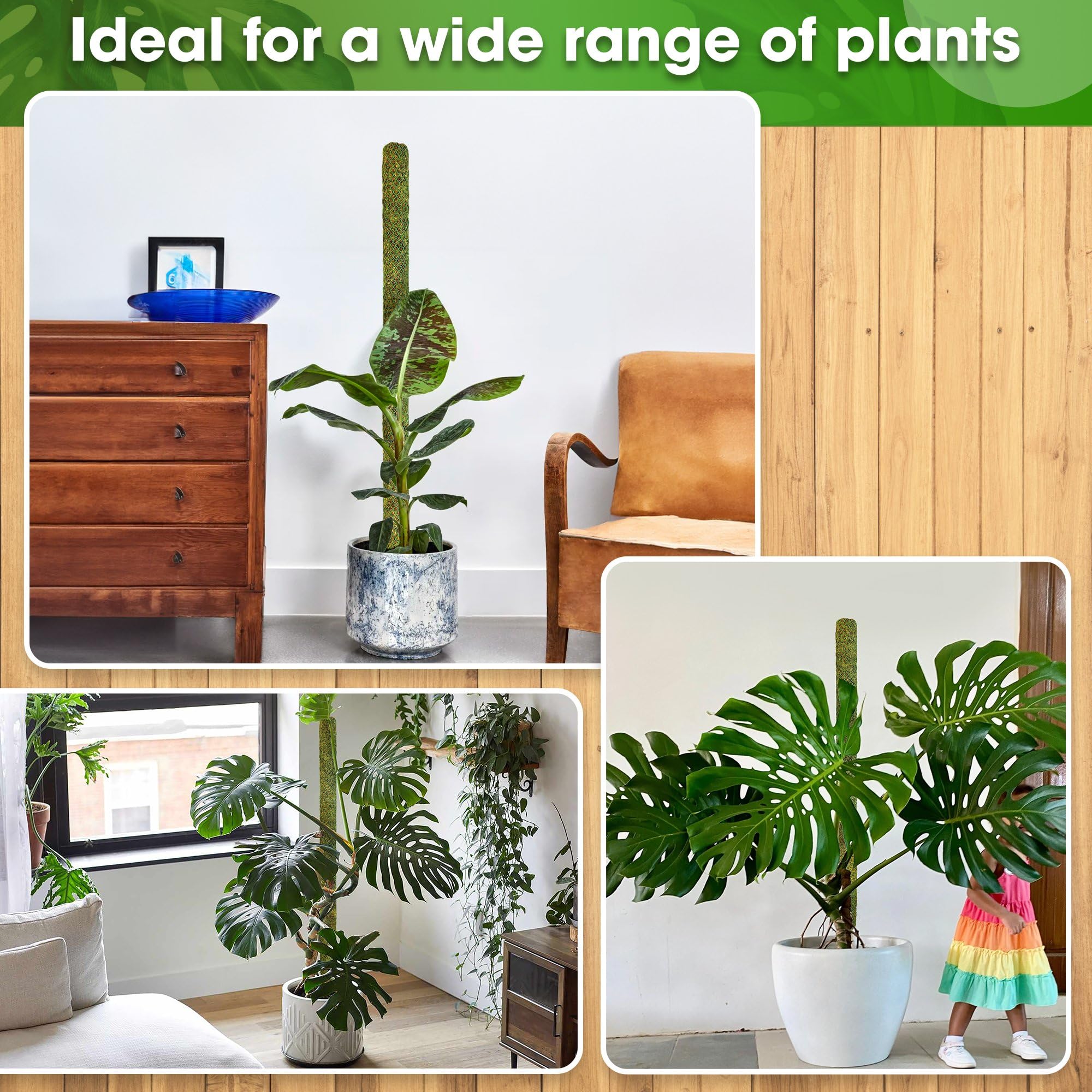 Pole fits pots sized 14 to 20 inches for versatile plant setups