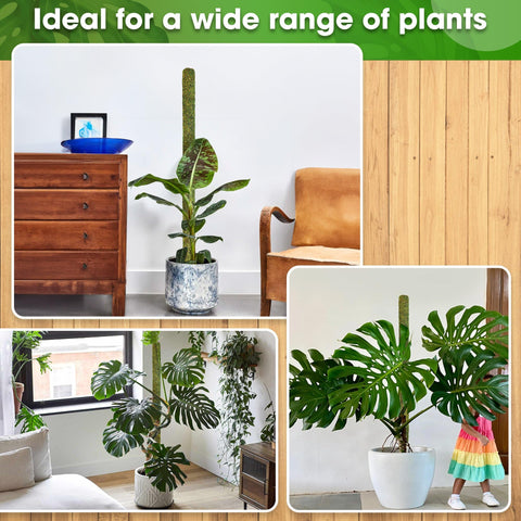 Pole fits pots sized 14 to 20 inches for versatile plant setups