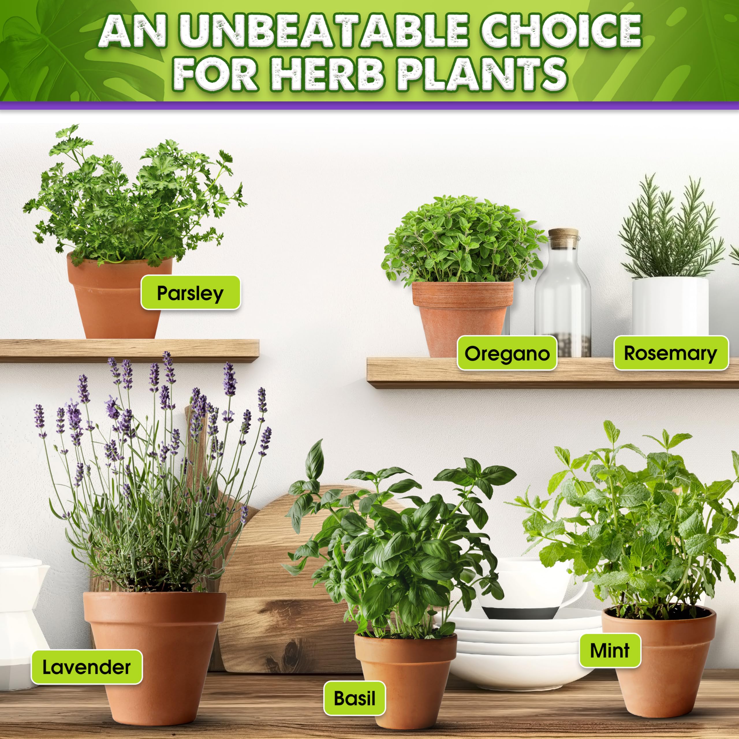 Duspro quality-assurance promise with replacement or refund if not completely satisfied.