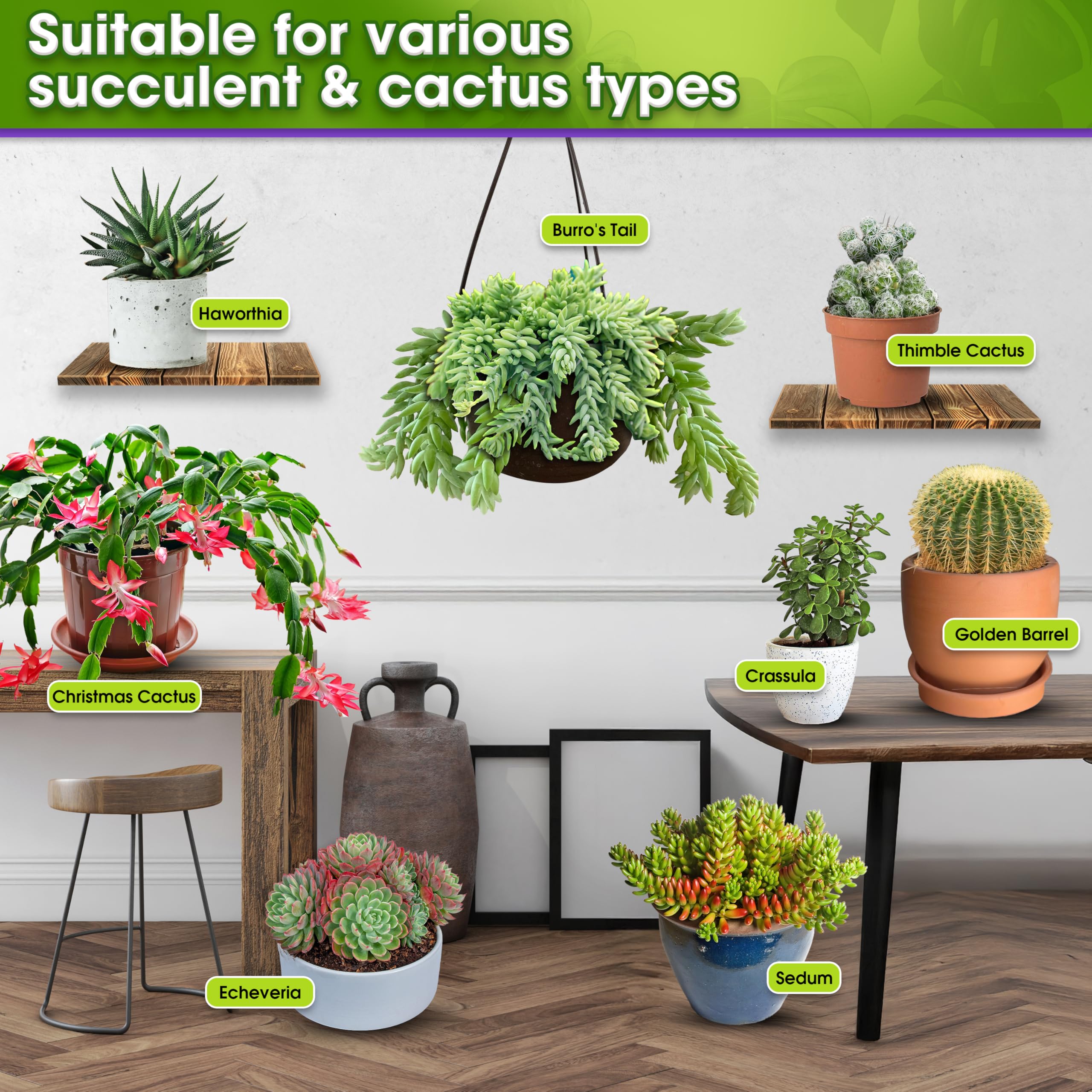 Duspro quality-checked gardening soil ensuring consistent performance for succulents.