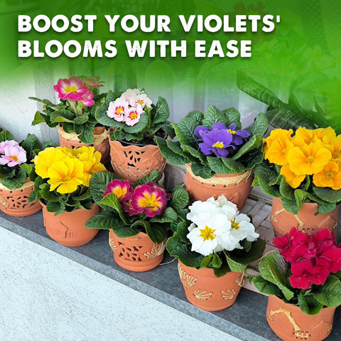 Outlining the potting process with Duspro 4-in-1 soil for violets.