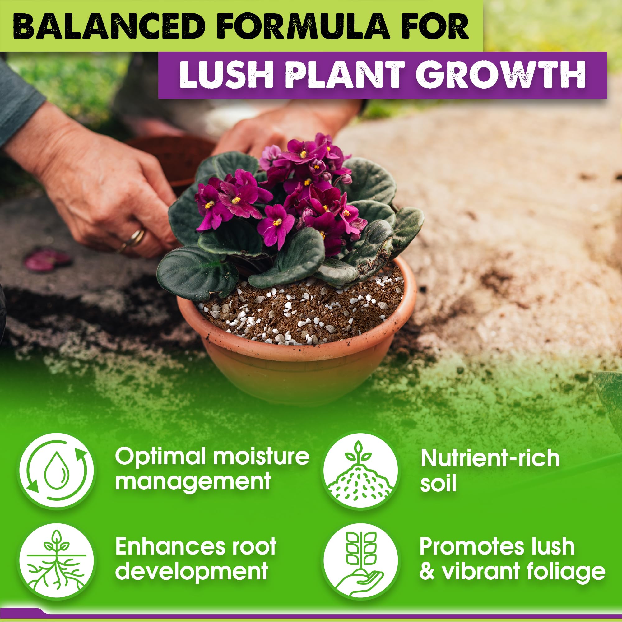 Texture showing perlite and pumice in Duspro African violet soil mix.