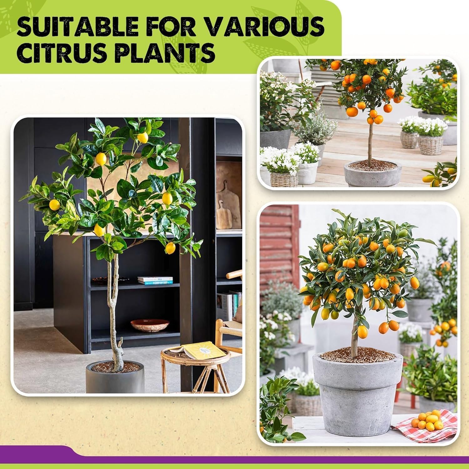 Duspro citrus soil supports a variety of citrus and fruiting plants