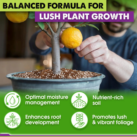 Close-up shows natural ingredients in Duspro citrus soil.