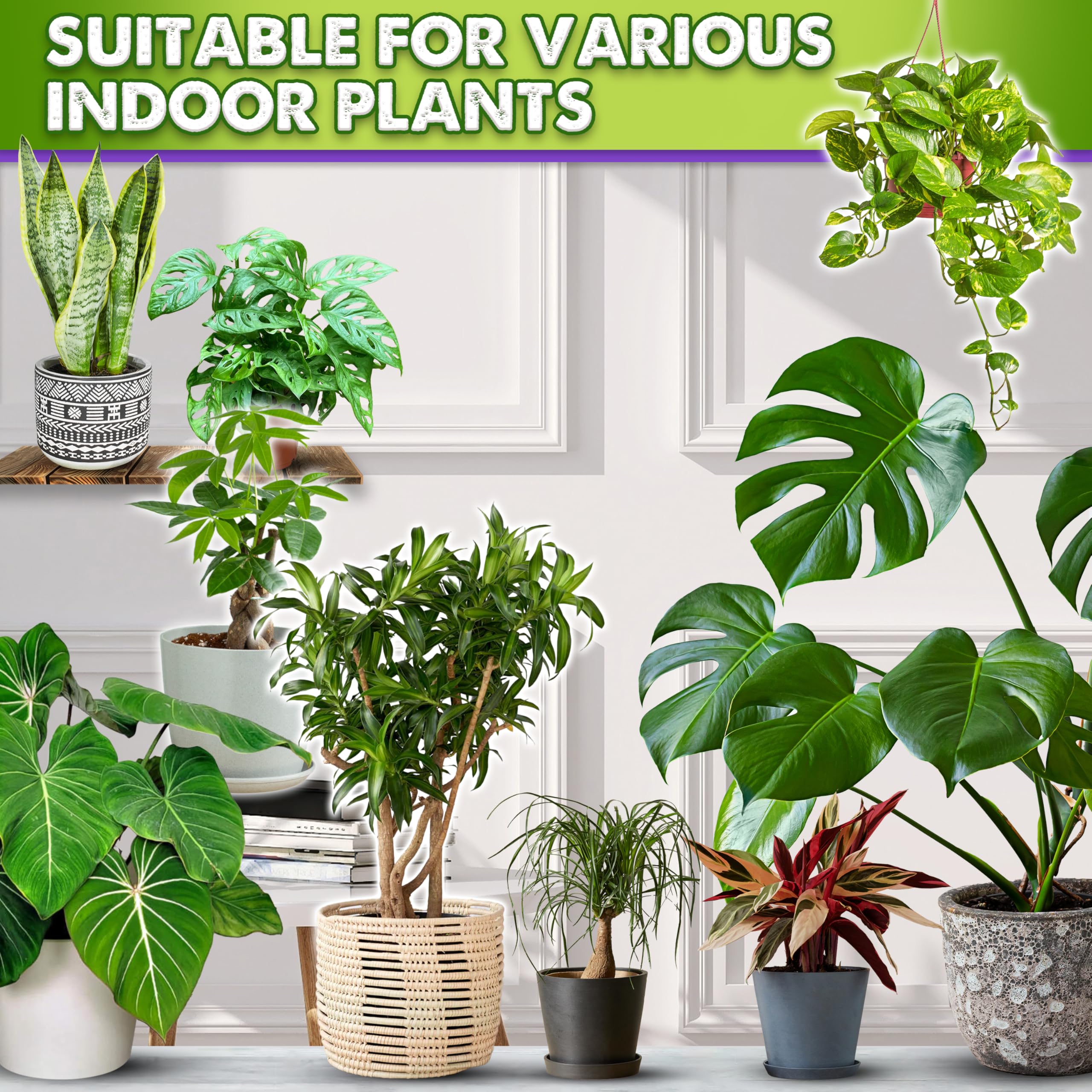 Moisture balance emphasis in Duspro Recycle for healthier pots