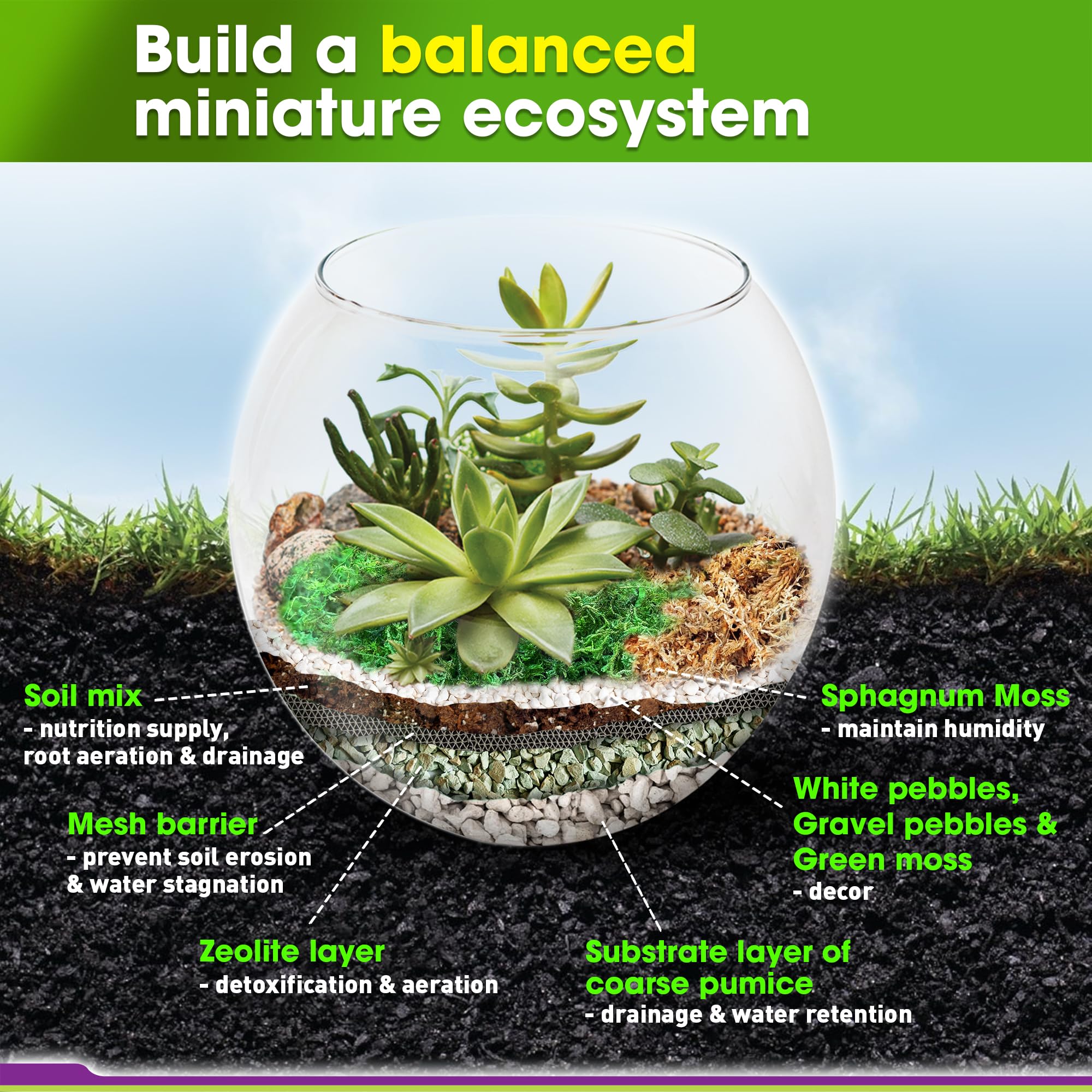 Duspro pumice and zeolite illustrate moisture control for plants.