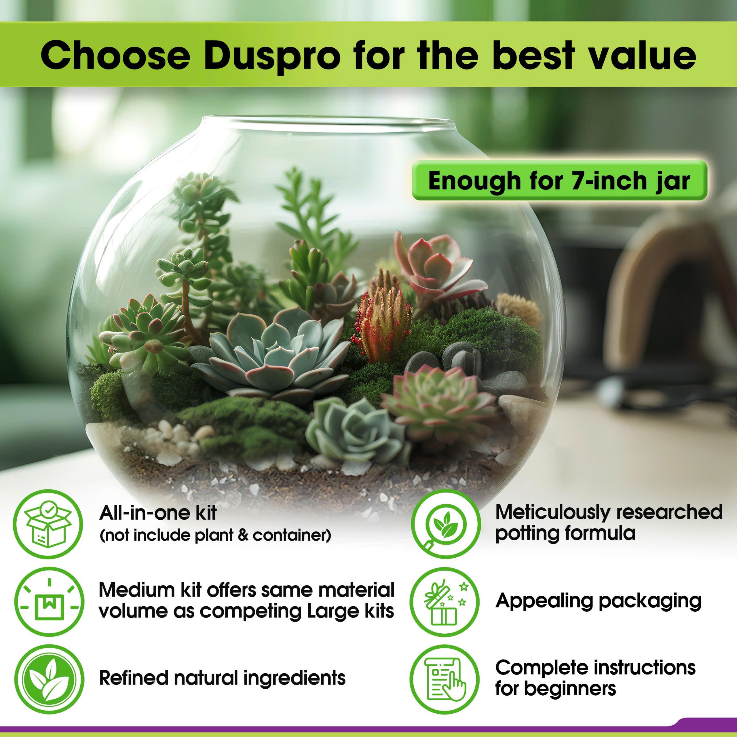 Duspro sphagnum moss highlights moisture retention in the terrarium.