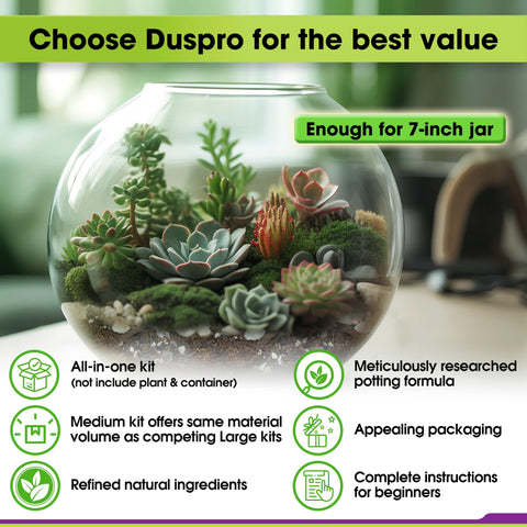 Duspro sphagnum moss highlights moisture retention in the terrarium.