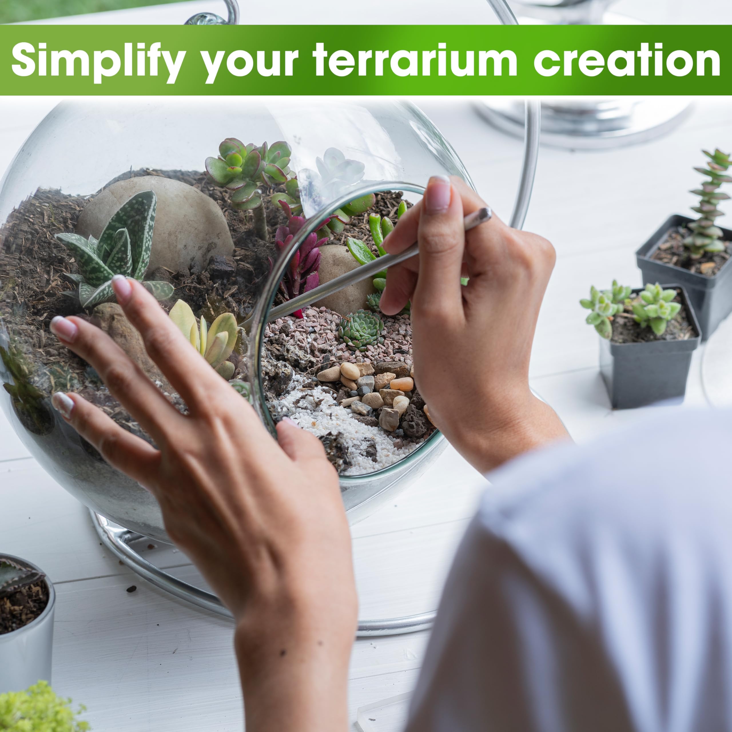 Duspro included tools and guide support hands-on terrarium creation.