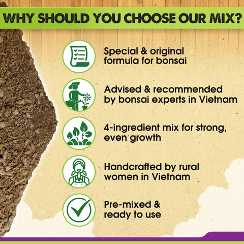 Duspro bonsai soil in pot demonstrates rich, well-drained medium supporting growth