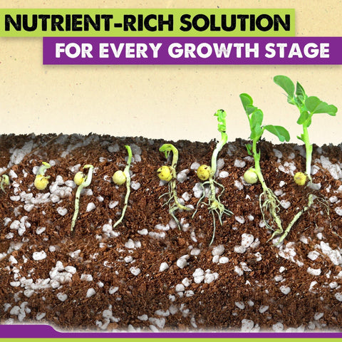 Duspro seedling soil with enhanced aeration supports strong root growth.