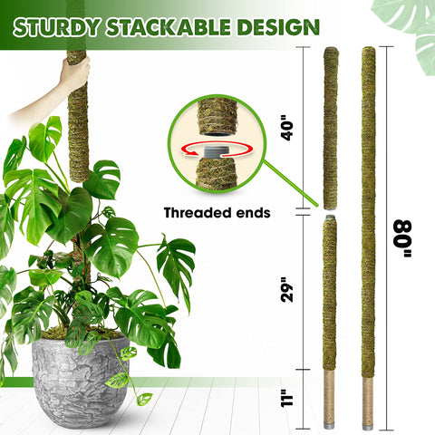 Duspro stackable moss sticks, two 40-inch sections extend to 80 inches