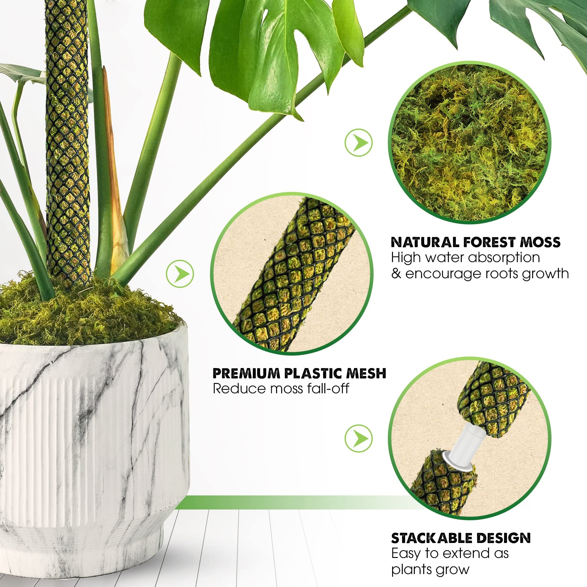 Duspro stackable mesh moss pole extended height shows easy growth with extra sections.