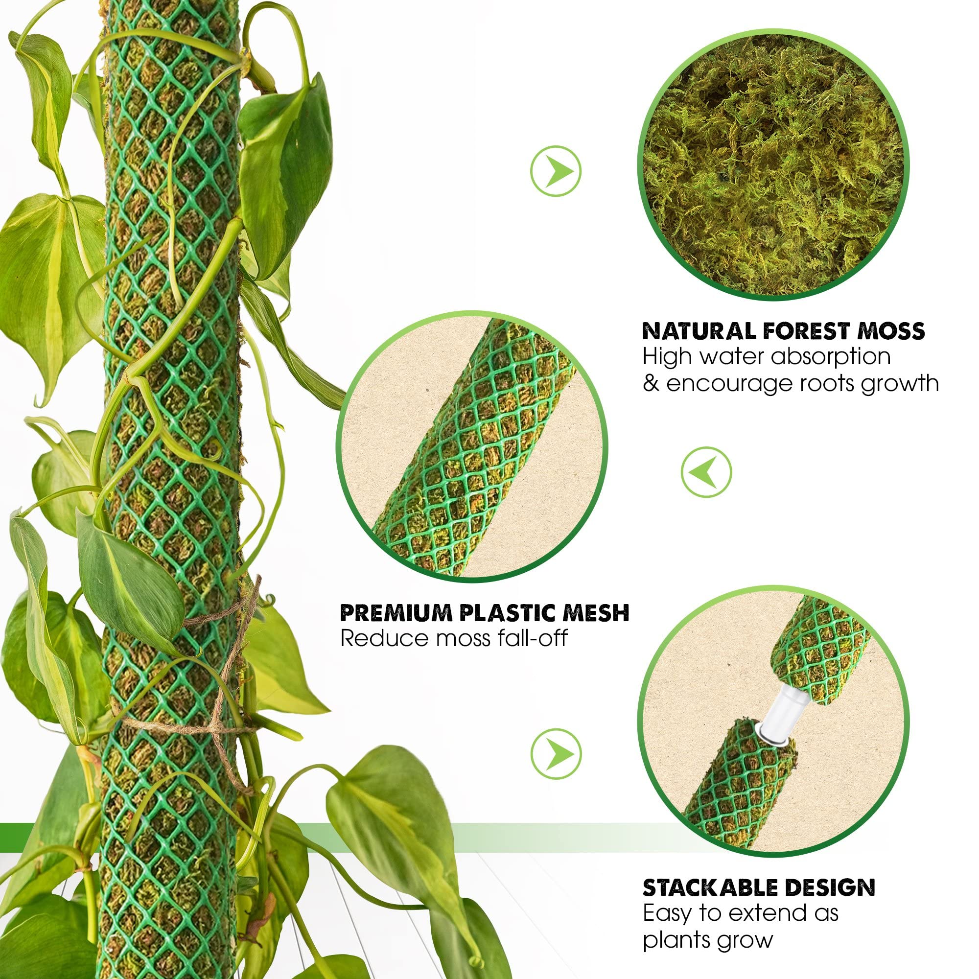 Duspro stackable moss pole assembly demonstrates quick height extension for vigorous growth.