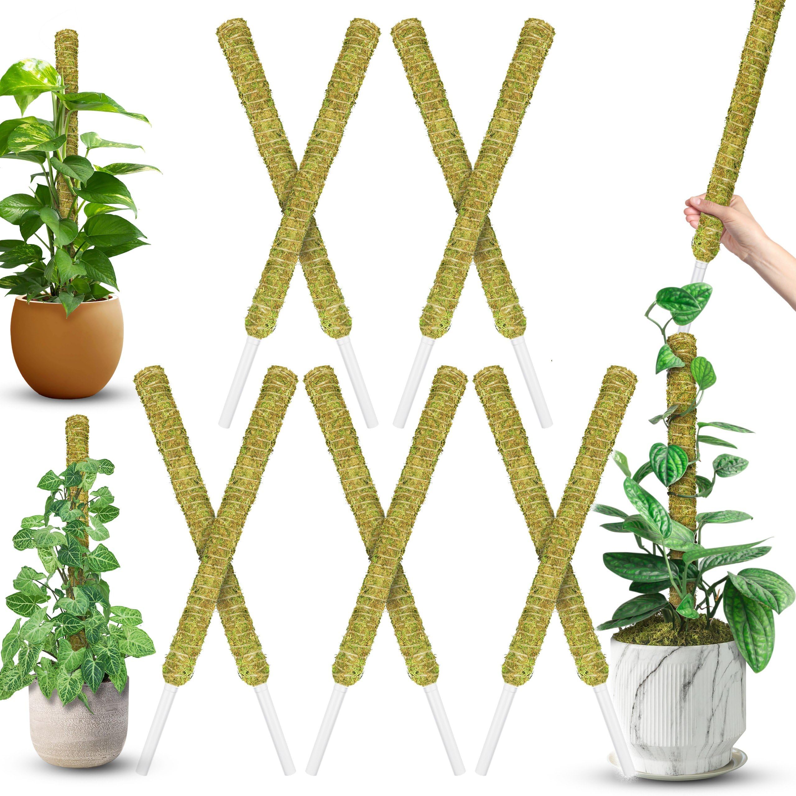 Duspro stackable moss pole base supports 22-inch height for vertical growth.