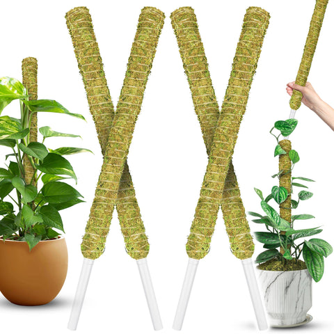 Duspro stackable moss pole for Monstera provides vertical support and natural look.
