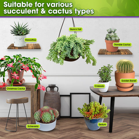 Duspro succulent soil in pot for desk plants and terrariums