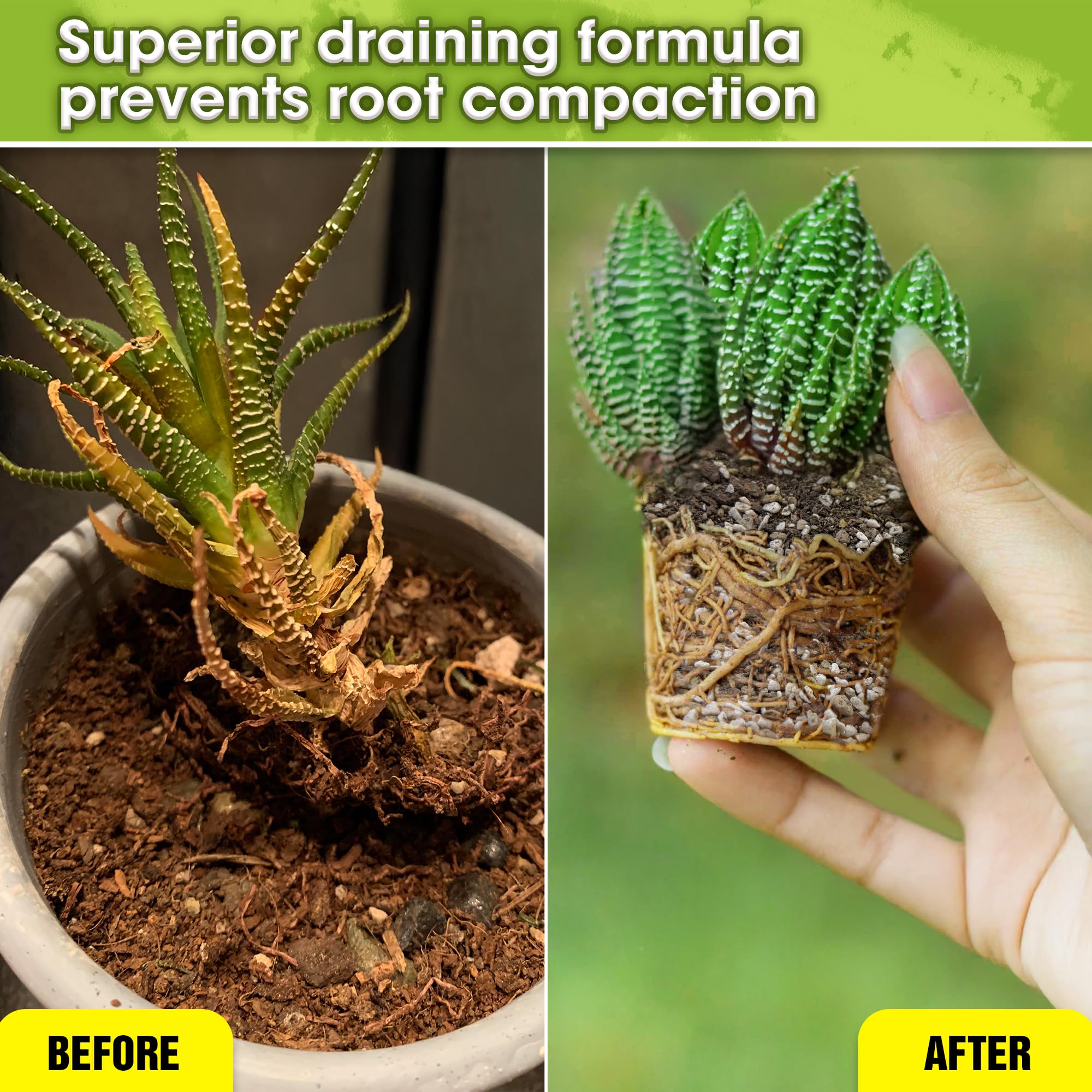 7-in-1 blend by Duspro with perlite and pumice supports healthy roots