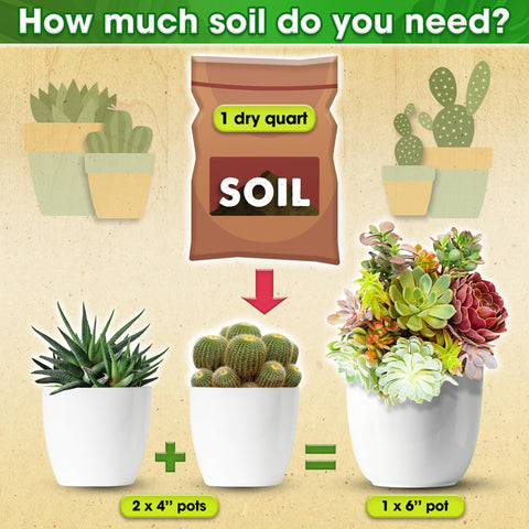 Duspro outdoor pots with succulent soil for drought-tolerant gardening