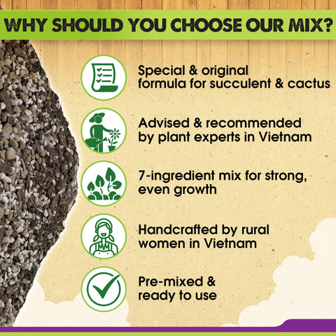 Close-up of Duspro soil texture emphasizes airy mix and drainage