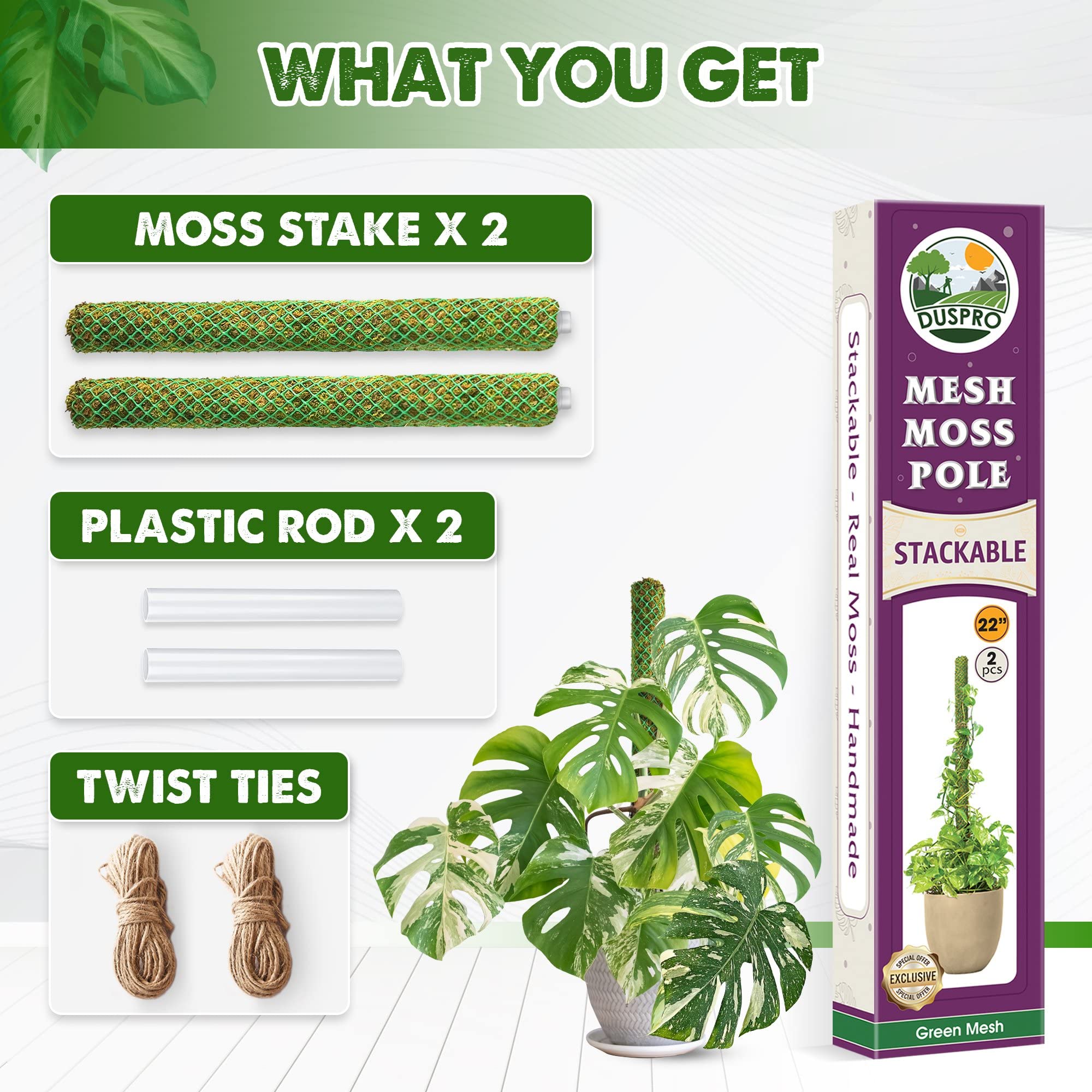 Duspro two-pack moss poles stacked for scalable climbing plant support.