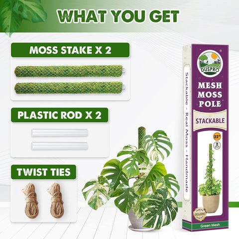 Duspro two-pack moss poles stacked for scalable climbing plant support.