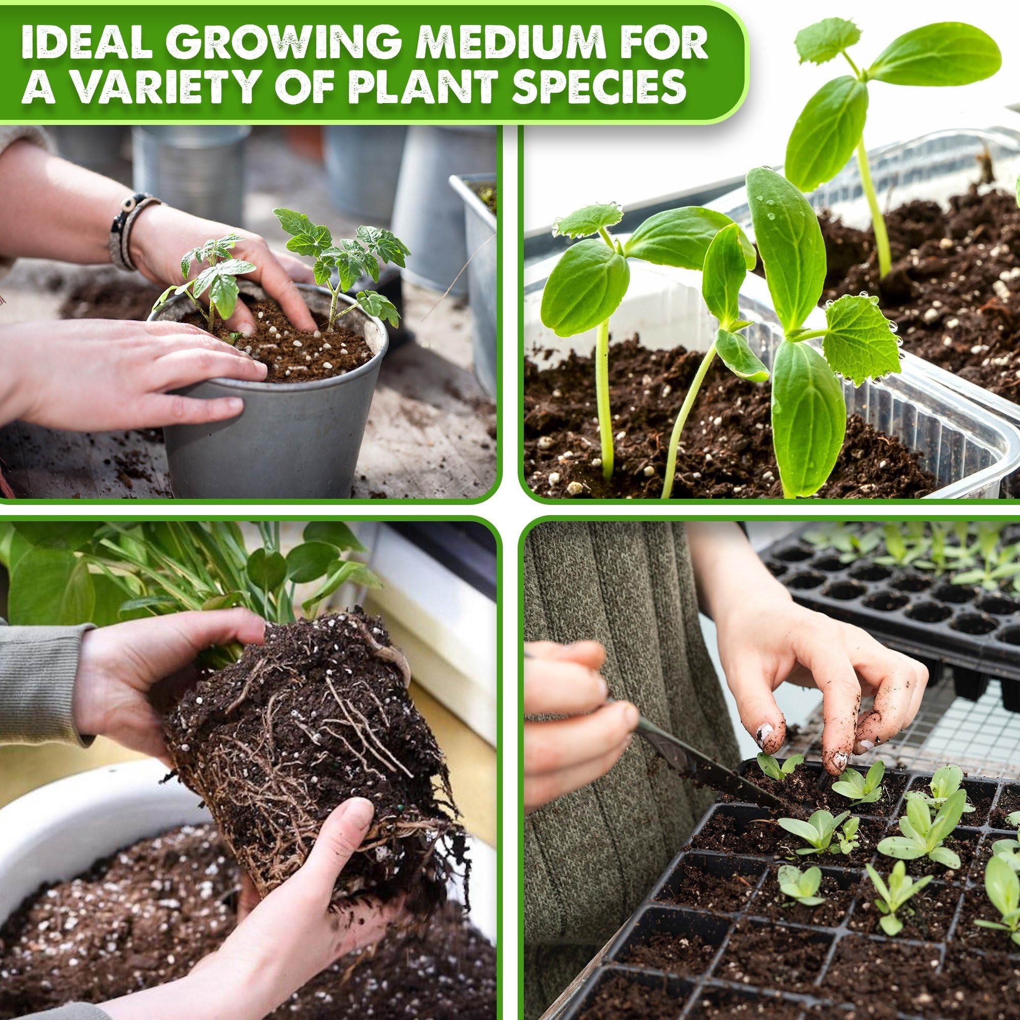Duspro vermiculite and perlite promote air for seedling roots.