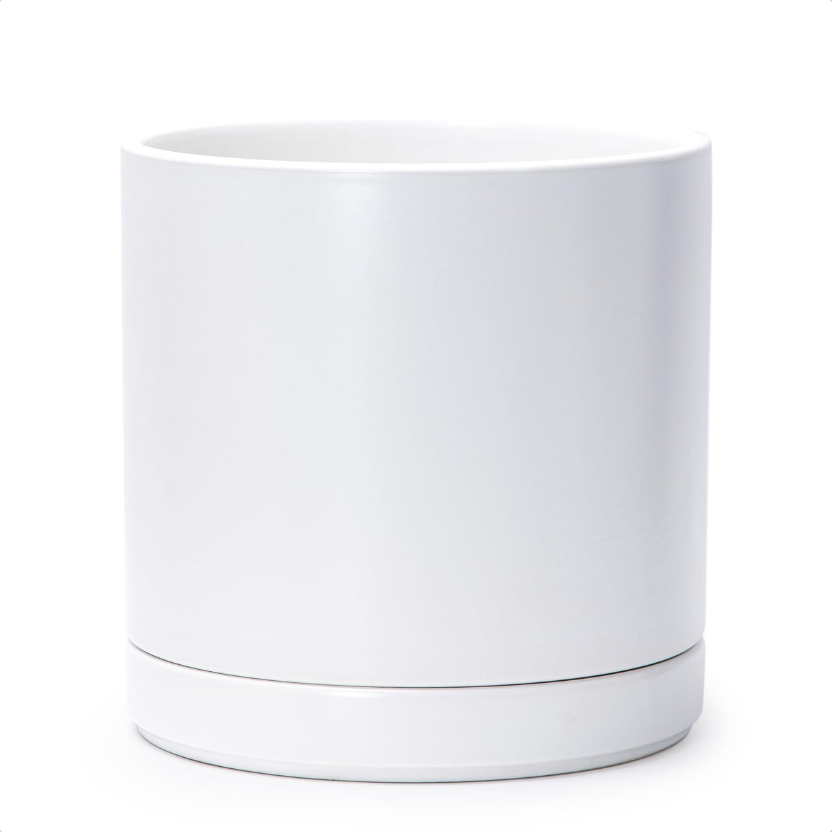 D'vine Dev 10in ceramic planter front view shows sleek white cylinder for stylish indoor display