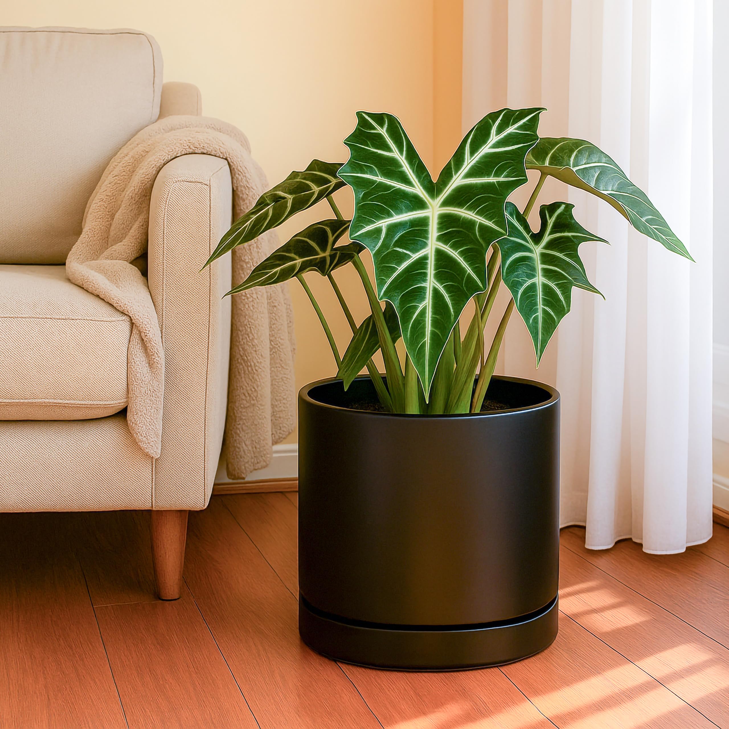 D'vine Dev 10-inch black planter with saucer, top view for neat, mess-free setups.