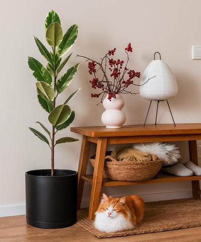 D'vine Dev planter's matte finish resists scratches and adds a premium look.