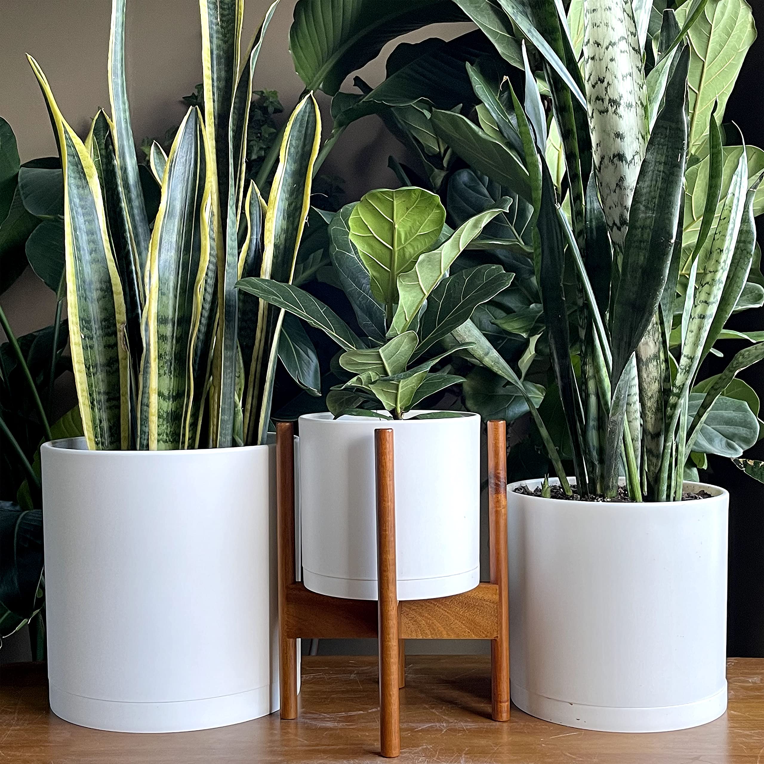 D'vine Dev 12-inch planter pot with saucer supports neat, mess-free plant displays.