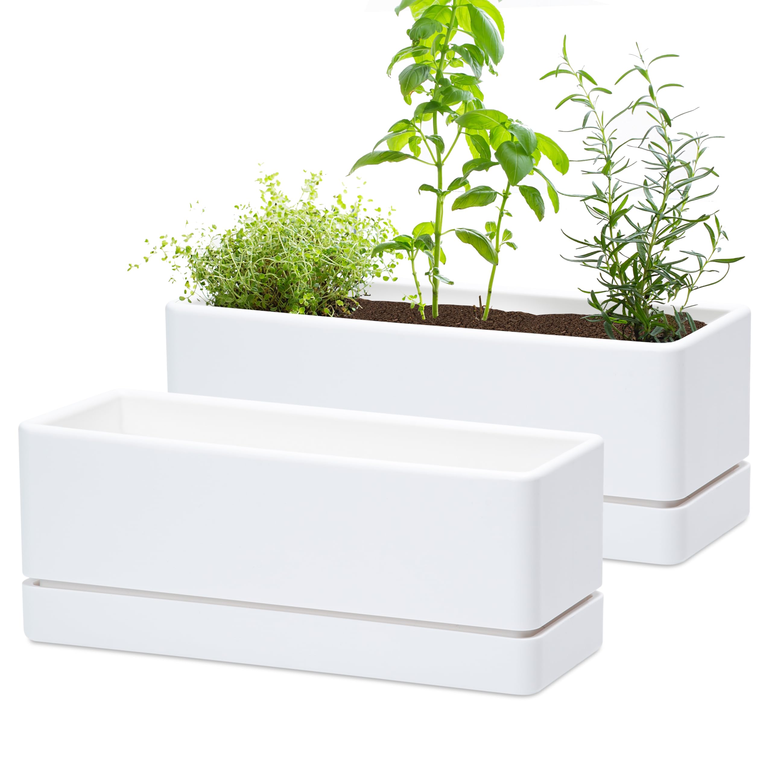 D'vine Dev 12in window box planter with drainage holes for herbs.