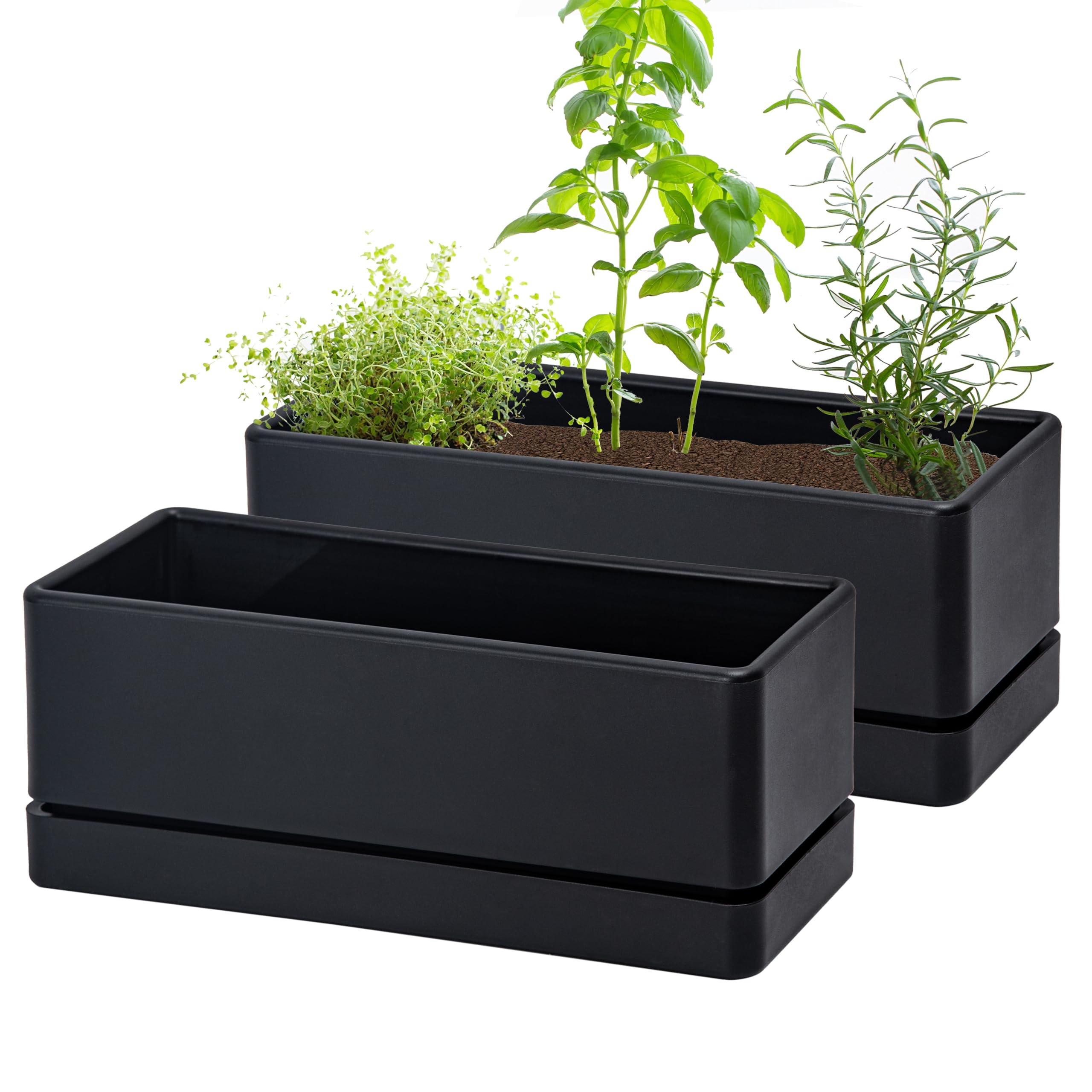 D'vine Dev 12in window box planter ready for herbs on a sunny windowsill.