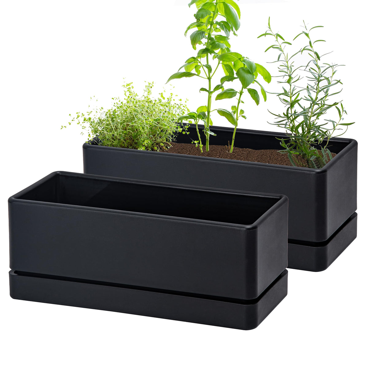 D'vine Dev 12in window box planter ready for herbs on a sunny windowsill.