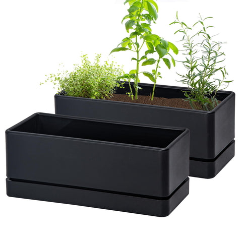 D'vine Dev 12in window box planter ready for herbs on a sunny windowsill.