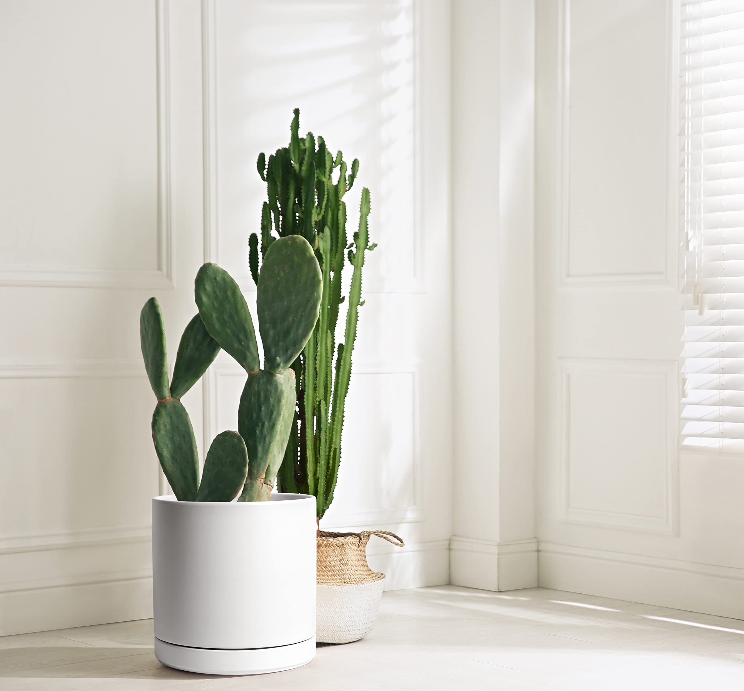 Close-up of D'vine Dev 12-inch ceramic planter in white.
