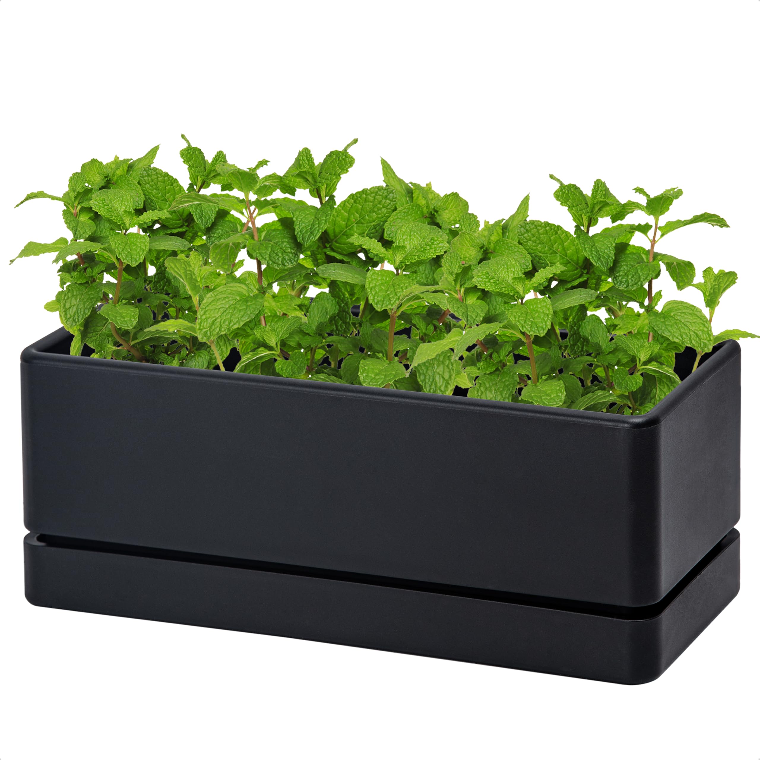 D'vine Dev 12-inch window box planter, front view showing compact herb garden use.