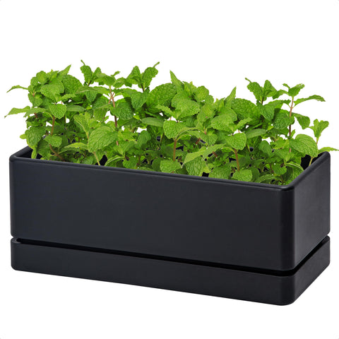 D'vine Dev 12-inch window box planter, front view showing compact herb garden use.