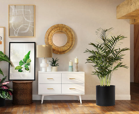 D'vine Dev 14-inch black planter featuring a matte finish and thick walls