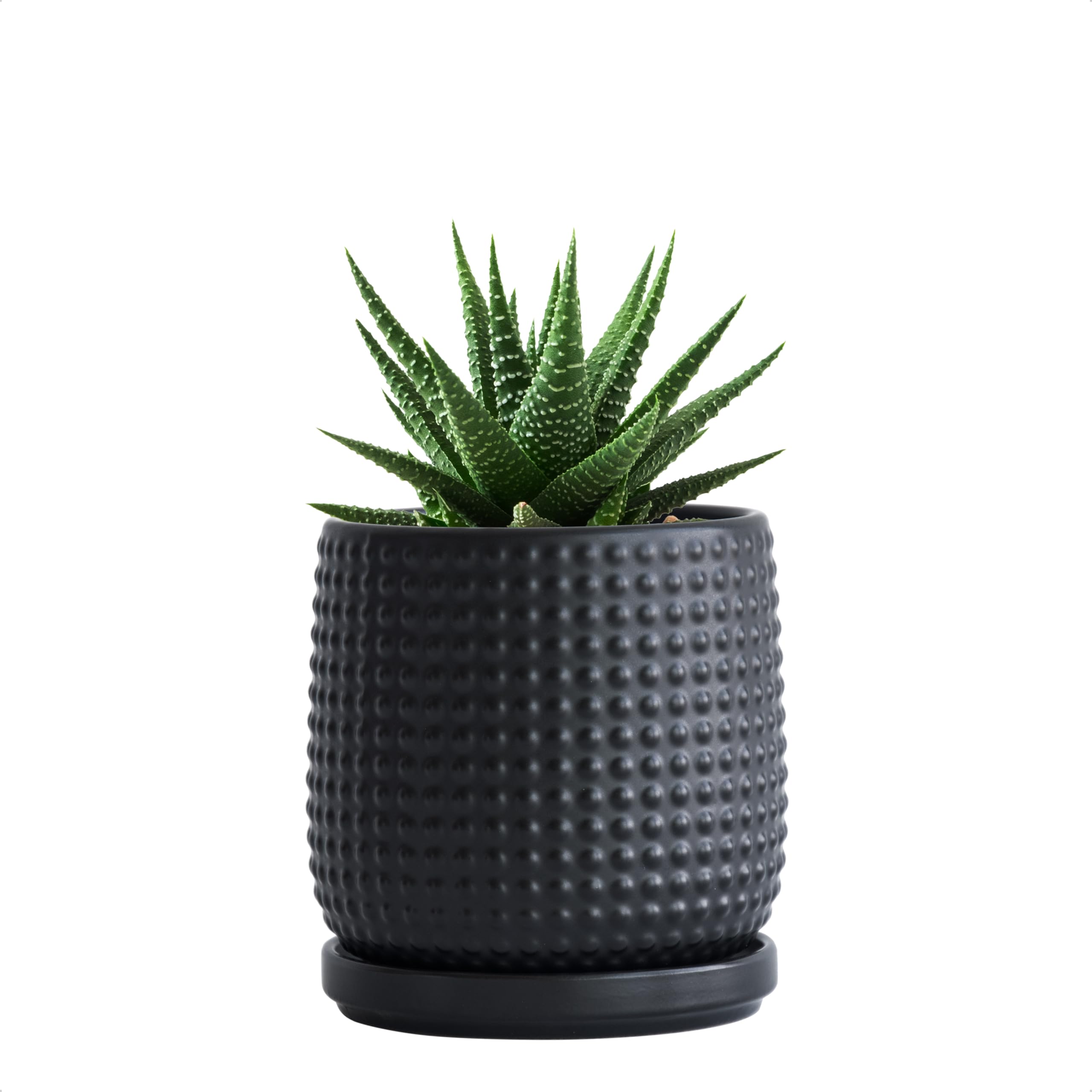 D'vine Dev 4-inch ceramic beaded planter Ebony Matte with drainage holes, ideal for indoor succulents.