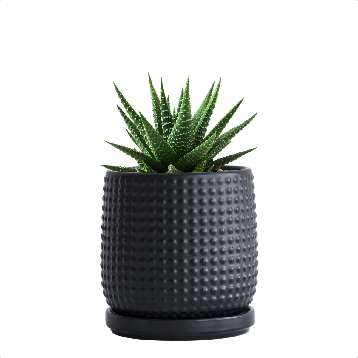 D'vine Dev 4-inch ceramic beaded planter Ebony Matte with drainage holes, ideal for indoor succulents.